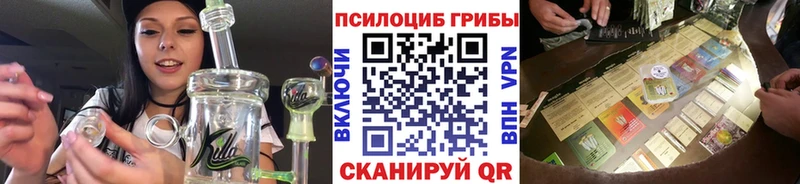Псилоцибиновые грибы Psilocybine cubensis  Балей 